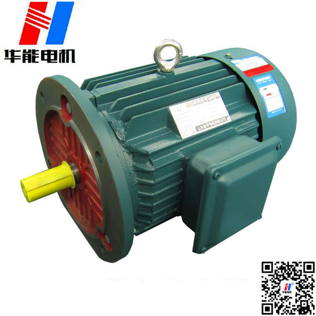 山東盛華電機生產(chǎn)廠家高效節(jié)能電機 山東盛華電機有限公司高效節(jié)能電機