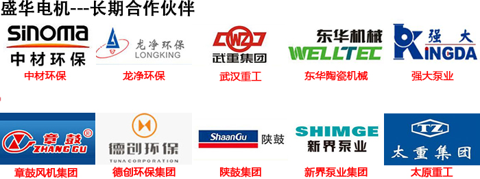 盛華電機生產(chǎn)廠家合作案例 盛華電機生產(chǎn)廠家合作案例