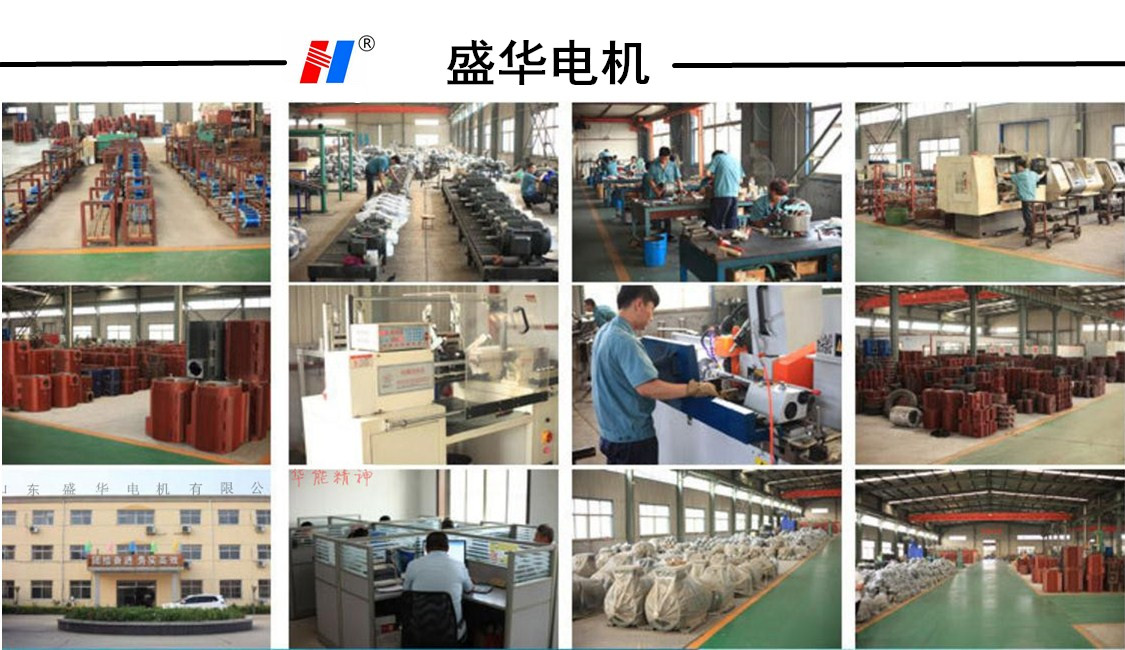 山東盛華糧食機(jī)械專用電機(jī)