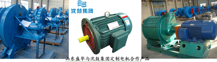 山東電機(jī)廠,風(fēng)機(jī)專用電機(jī),電機(jī)定制 山東電機(jī)廠,風(fēng)機(jī)專用電機(jī),電機(jī)定制