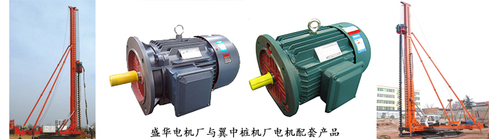 打樁機(jī)專(zhuān)用電機(jī) 打樁機(jī)專(zhuān)用電機(jī)