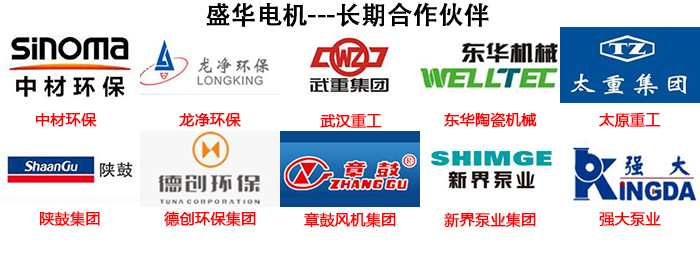 山東電機(jī)廠,電機(jī)生產(chǎn)廠家,高效節(jié)能電機(jī),盛華電機(jī)