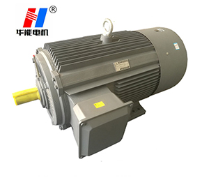 大功率電機.山東盛華電機生產(chǎn)廠家