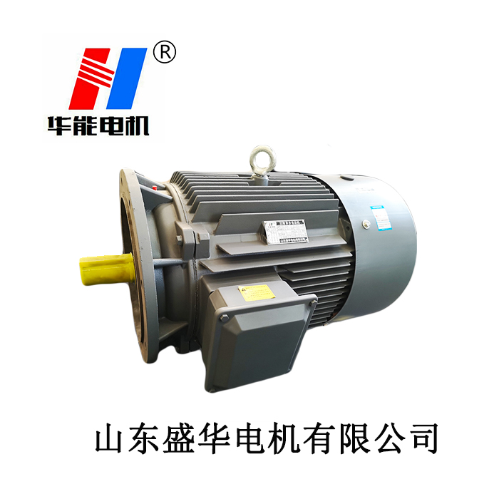 大功率電機(jī),電機(jī)生產(chǎn)廠家