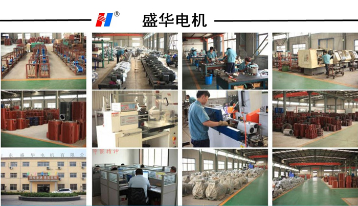 制動(dòng)電機(jī)(剎車(chē)電機(jī)) 制動(dòng)電機(jī)(剎車(chē)電機(jī))