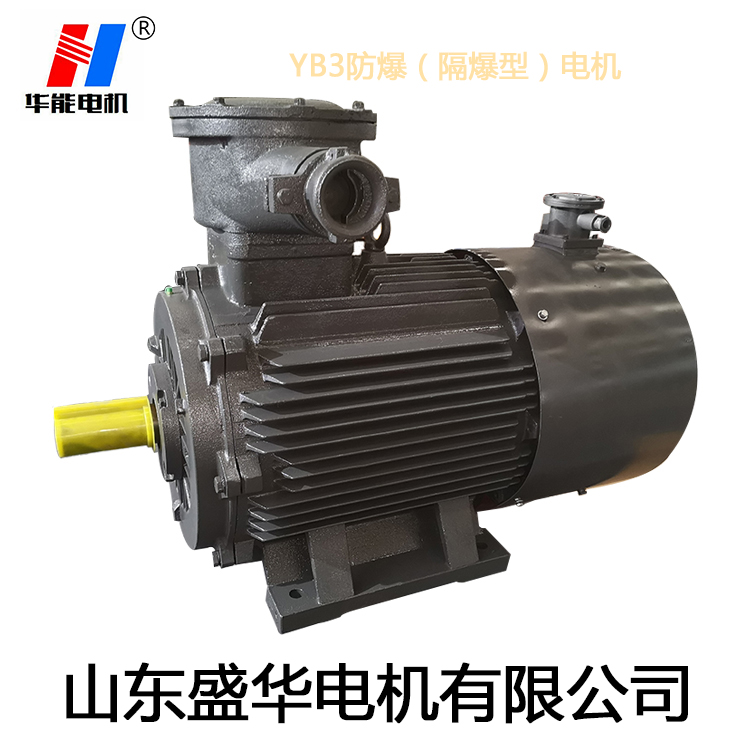 山東變頻電機(jī),電機(jī)生產(chǎn)廠家,大功率防爆電機(jī),電機(jī)防護(hù)等級