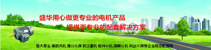 山東電機(jī),大功率電機(jī),大功率防爆電機(jī),山東電機(jī) 山東電機(jī),大功率電機(jī),大功率防爆電機(jī),山東電機(jī)