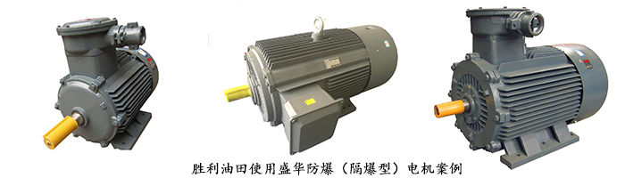 山東電機(jī),山東電機(jī)廠,大功率防爆電機(jī),大功率電動(dòng)機(jī)