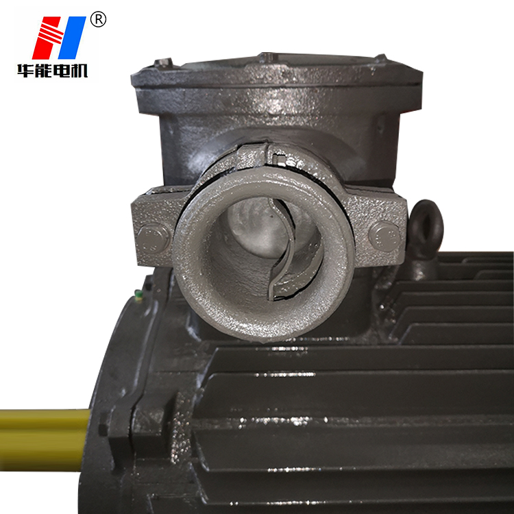 山東電機(jī)廠,大功率防爆電機(jī),大功率電機(jī),防爆電機(jī),盛華電機(jī)