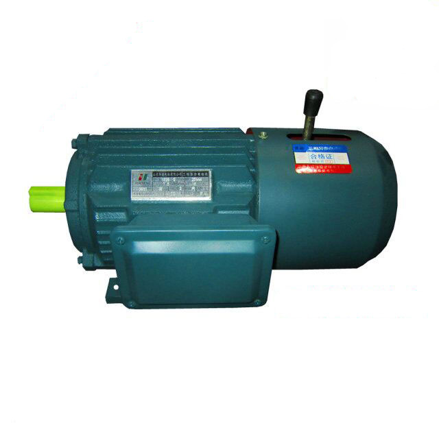 電機(jī)生產(chǎn)廠家,山東電機(jī)廠家,制動(dòng)電機(jī)廠,剎車電機(jī),三相電機(jī)