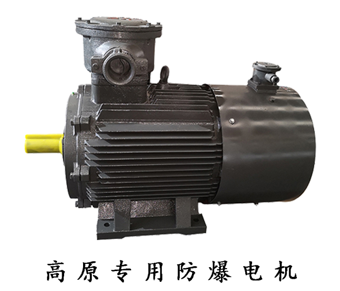 高原專用防爆電機(jī) 高原專用防爆電機(jī)