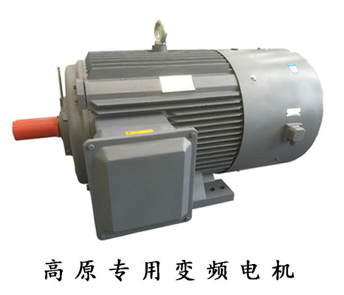 高原專用變頻電機(jī) 高原專用變頻電機(jī)