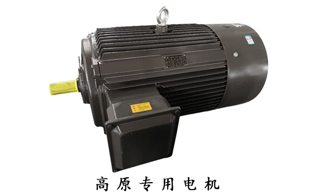 山東電機(jī)廠,高原電機(jī),電機(jī)廠家