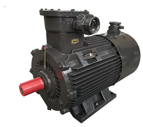 船用防爆電機(jī) 船用防爆電機(jī)