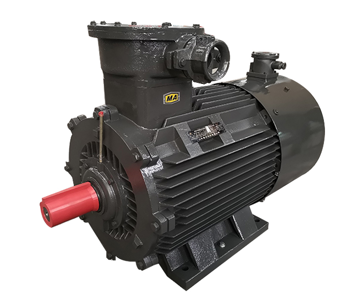 防爆電機(jī),防爆電機(jī)生產(chǎn)廠家,山東盛華電機(jī)廠