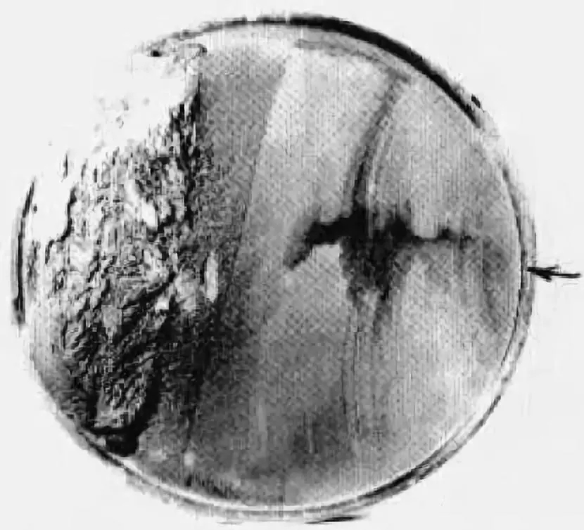 山東電機(jī)廠,山東電機(jī)廠家,三相異步電機(jī),盛華電機(jī)廠 山東電機(jī)廠,山東電機(jī)廠家,三相異步電機(jī),盛華電機(jī)廠