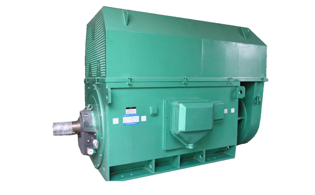 山東電機(jī)廠,盛華電機(jī),大功率電機(jī),高壓電機(jī)