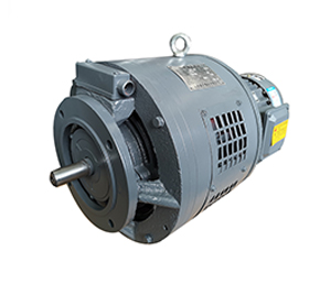 電磁調(diào)速三相異步電動機(jī) 電磁調(diào)速三相異步電動機(jī)