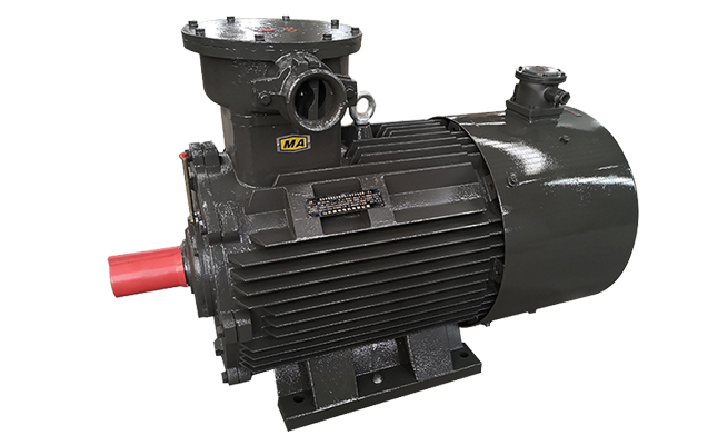 YBVP變頻防爆電動(dòng)機(jī) 防爆電機(jī)廠,變頻電機(jī),防爆電機(jī),變頻防爆電動(dòng)機(jī)