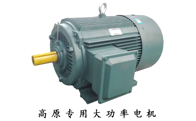 高原電機廠,高原電機,電機生產(chǎn)廠家