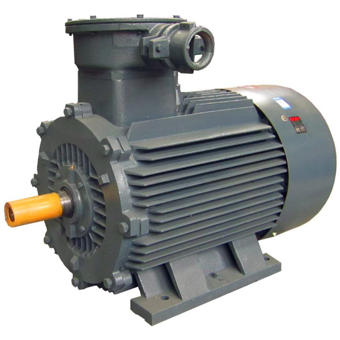 電機(jī)廠家,電機(jī)生產(chǎn)廠家,防爆電機(jī)