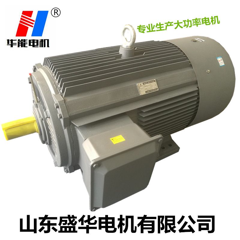 山東電機(jī)廠,電機(jī)生產(chǎn)廠家,大功率電機(jī) 山東電機(jī)廠,電機(jī)生產(chǎn)廠家,大功率電機(jī)