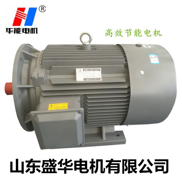 山東盛華大功率電機(jī)生產(chǎn)廠家 電機(jī)生產(chǎn)廠家,電機(jī)廠,大功率電機(jī),大功率電機(jī)廠