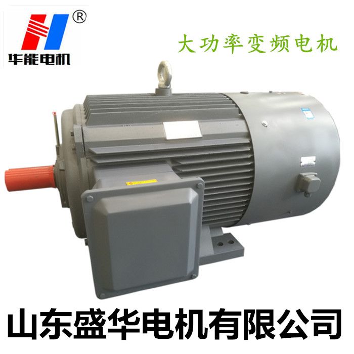 YEVP變頻調(diào)速三相異步電動(dòng)機(jī) 電機(jī)廠,山東電機(jī)廠,變頻調(diào)速電機(jī),變頻電機(jī)