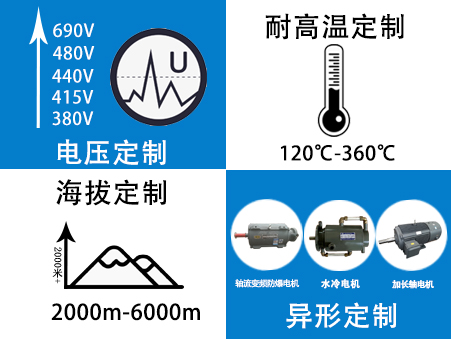 山東盛華電機(jī)廠電機(jī)定制 電機(jī)定制生產(chǎn)廠家