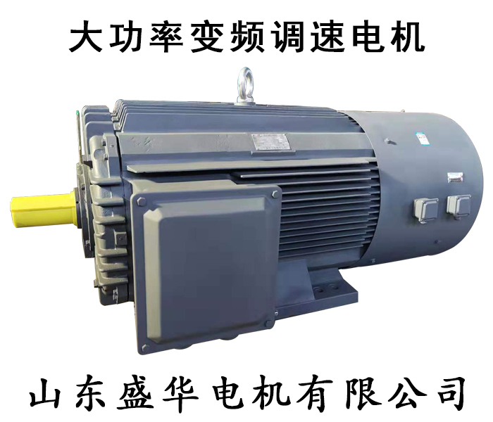 大功率變頻電機(jī) 大功率電機(jī)