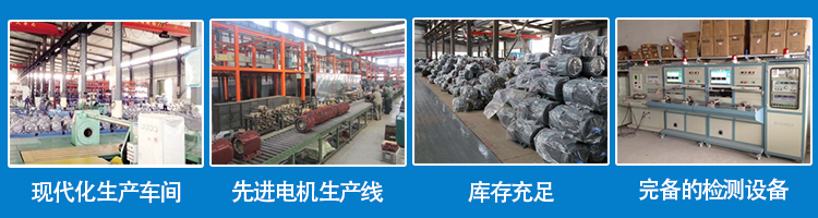 山東盛華電機生產(chǎn)廠家 山東盛華電機生產(chǎn)廠家