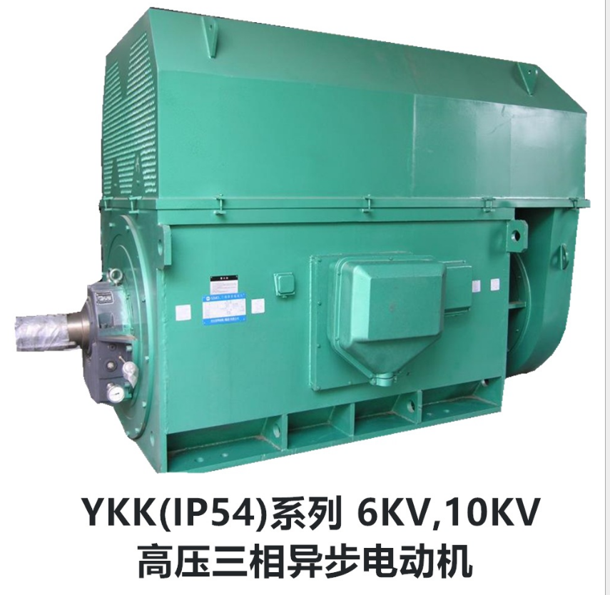山東盛華-YKK大功率高壓電機(jī) 山東盛華-YKK大功率高壓電機(jī)