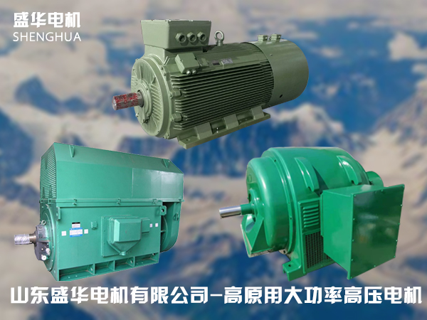 山東高原電機廠-高原專用高壓電機 山東高原電機廠-高原專用高壓電機