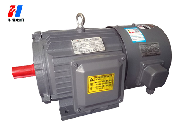 山東盛電機(jī)廠_變頻調(diào)速電動(dòng)機(jī) 山東電機(jī)廠_變頻調(diào)速電動(dòng)機(jī)