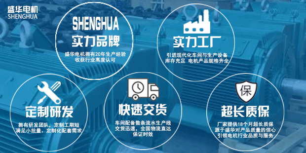 山東盛華電機生產廠家 山東盛華電機生產廠家