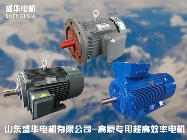 盛華電機(jī)廠家高原電機(jī) 盛華電機(jī)廠家高原電機(jī)