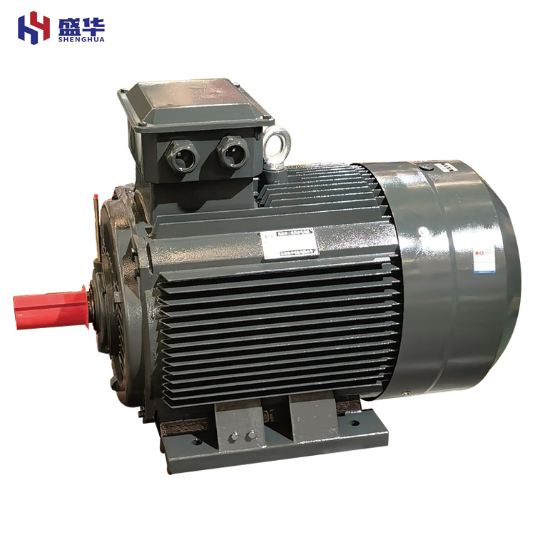 山東電機(jī)生產(chǎn)廠(chǎng)家淺談電機(jī)缺相故障