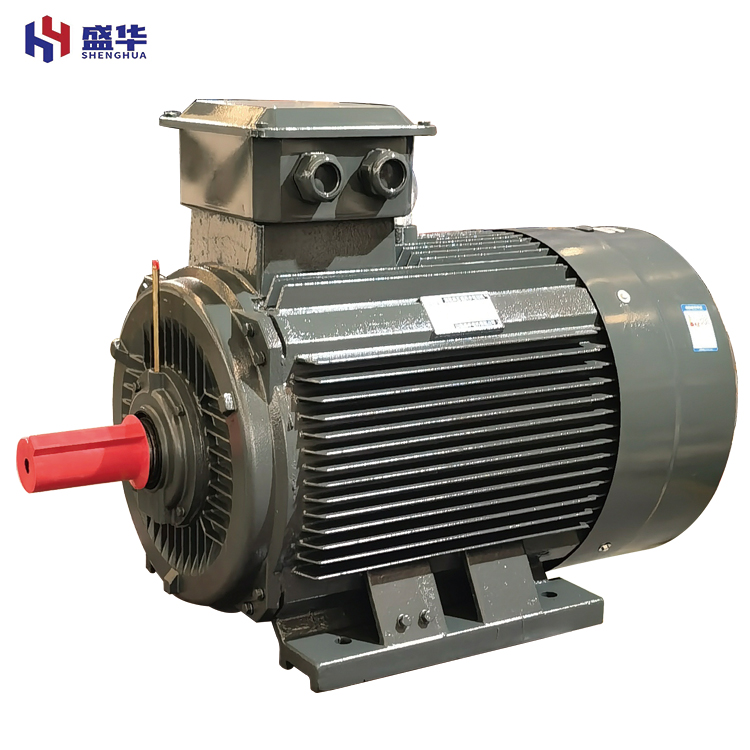 山東盛華電機(jī)廠家淺析電機(jī)過載與危害